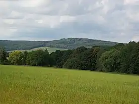 Vue depuis Seelitz.