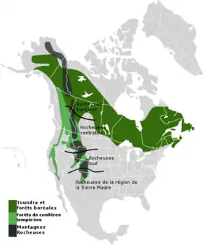 Description de l'image Rocky mountains + forests.png.