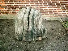 Photo d'une pierre presque rectangulaire et très fortement striée posée dans un carré de terre.
