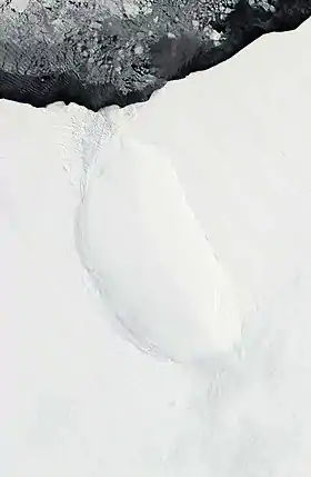 Image illustrative de l’article Île Roosevelt (Antarctique)