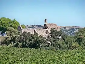 Le vignoble de l'AOC Lirac au pied de la chapelle Saint-Agricol de Clary