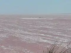 La couleur rouge du Syvach, provoquée par une micro-algue.