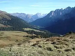 La Reichenbachtal vue depuis la Grosse Scheidegg.