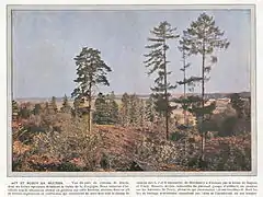 Rosoy, Bois de Chaumont (parc du château) où étaient installées des pièces d'artillerie lourde allemandes.