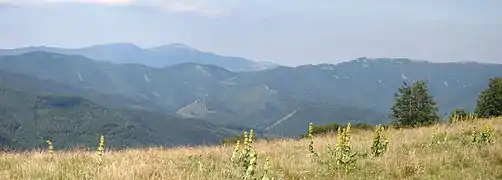 Panorama des Vosges : vus depuis le Tremontkopf, le Grand Ballon, plus haut sommet sur l'horizon et, à droite, la longue chaume du Rossberg ; au centre, le col du Belacker.