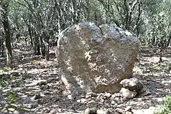 Image illustrative de l’article Menhir de Counezeil