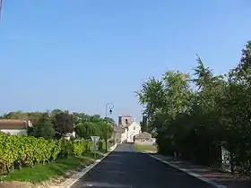 La photo couleur montre l'entrée d'un village ; à gauche de la route, une vigne de raisin blanc