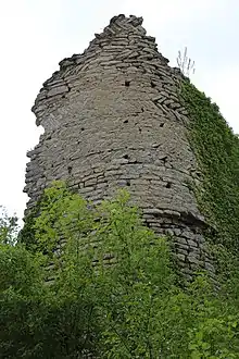 Photo d'une tour médiévale en ruine et envahie par la végétation