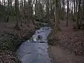 Le Rouillon canalisé en escaliers dans le bois des Templiers.