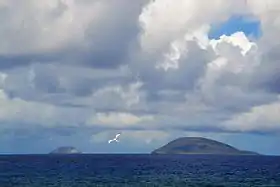 Île Ronde (à droite) et Île aux Serpents (au fond à gauche) vues de l'Ouest-sud-ouest.