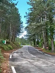 Route du Mont Ventoux à Malaucène