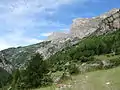 Chapeau de Gendarme (Alpes de Haute Provence)