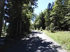 Col d'Herbouilly en direction du belvédère d'Herbouilly.