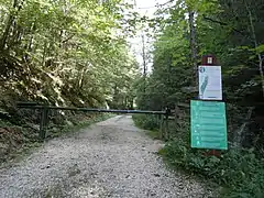 Chemin forestier secondaire menant la chartreuse