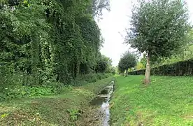 La réserve naturelle des Marais d'Isle.