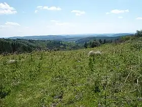 Paysage à Royère-de-Vassivière (23)