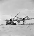 Bristol Beaufighter Mark IC (T4982 U) du No. 252 Squadron RAF à Idku (Égypte). À noter la configuration de son armement : 4 canons de 20 mm sous le nez, 4 mitrailleuses de 7,7 mm dans l'aile droite et 2 de même calibre dans l'aile gauche. Date : entre 1939 et 1943.