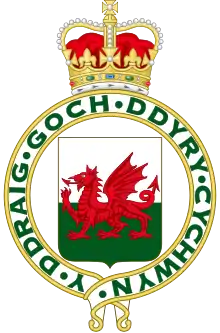 Badge royal de 1953  (utilisé comme identité visuelle de 1999 à 2002)