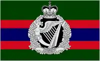 Image illustrative de l’article Royal Irish Regiment (1992)