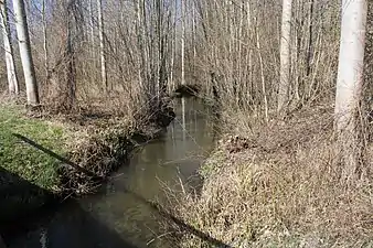 La rivière la Crise qui passe dans le bas du village.