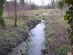 Ru de Rungis dans le parc des Aulnes.