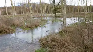 Les débordements d'hiver du ru du Cuivre le long de la D 16 vers Charny.