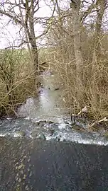 ... vue vers l'aval,même pont, même jour.