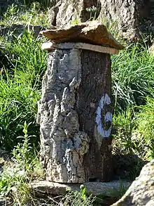 Brusc, ruche traditionnelle en liège près de La Garde-Freinet dans le Var.