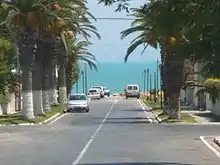 Une avenue de la Carthage contemporaine bordée de palmiers.