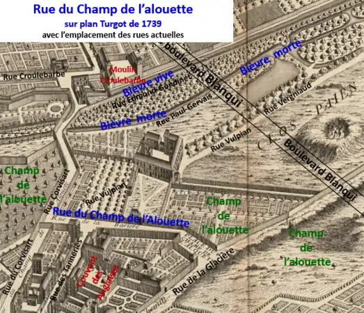 Rue du Champ-de-l'Alouette et son environnement sur le plan de Turgot en 1739, avant ouverture du boulevard du Midi.