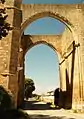 Arches du monastère ruiné de San Antón.