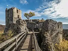 Ruines du château de Neideck