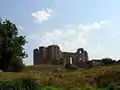 Les ruines de l'abbaye depuis le marais.