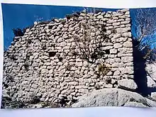 Ruines de l'ancien château de Sigottier