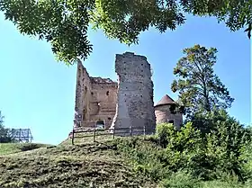 Ruines depuis le chemin du bourg