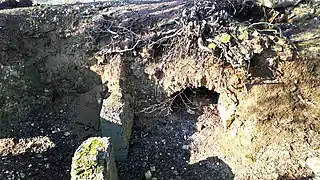 Ruines du blockhaus « Gibraltar »