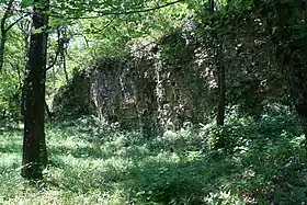 Ruines de l'abbaye féminine de Prébayon