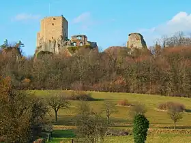 Image illustrative de l’article Château du Landskron