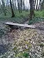 Pont dans le Bois des Templiers