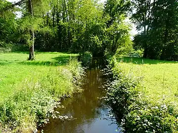 Le ruisseau des Forges au pont de la RD 3.