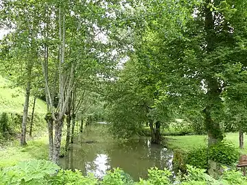 Le ruisseau de Mesplier en contrebas du château de Château-l'Évêque.