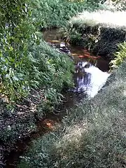 Ruisseau de Robichon à Mimizan