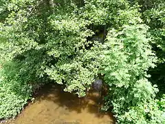 Le ruisseau d'Ozange à Saint-Exupéry-les-Roches.