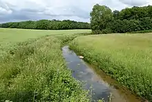 Le ruisseau de Boncé.