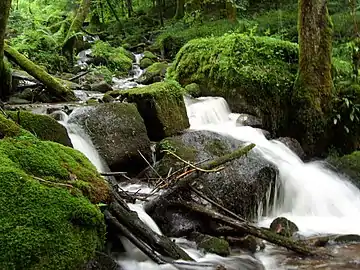 Ruisseau de Chaudefontaine.