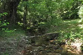 Photographie représentant le cours d'eau.