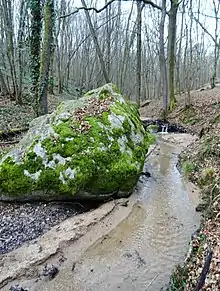 ruisseau de la Beffe