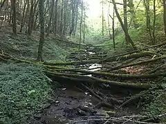 Le ruisseau du Moulin Ratet en 2017.