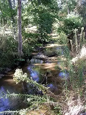 Ruisseau Saint-Jean traversant la commune de Benquet