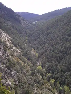 La vallée du Runer marquant la frontière hispano-andorrane à l'est de la vallée de la Valira